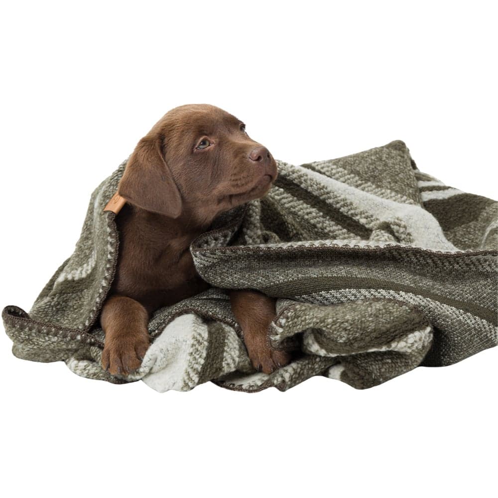 Dog Blanket S Evergreen, view: 2