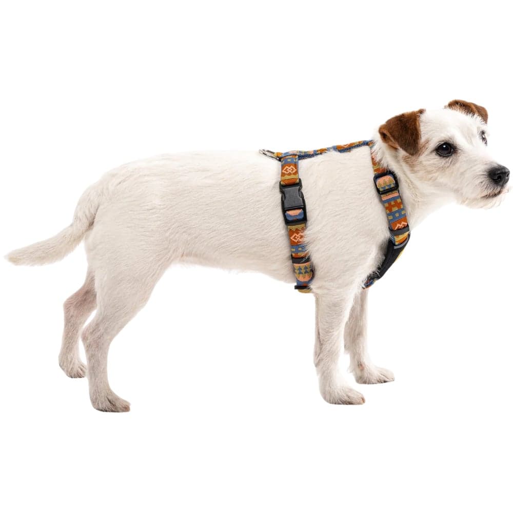 Nightless Harness M-L Multi, view: 2