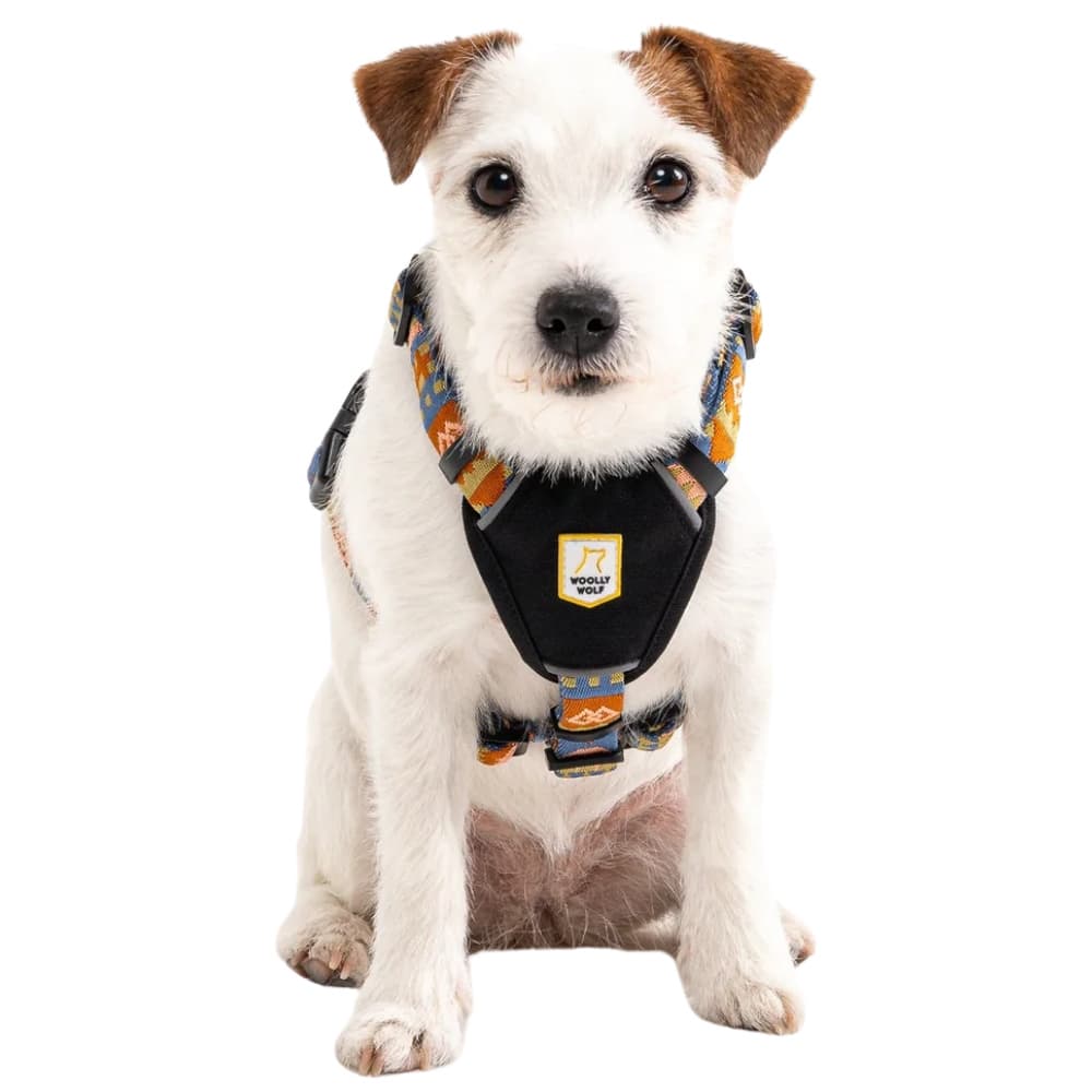 Nightless Night Harness XXS-S Multi, view: 1