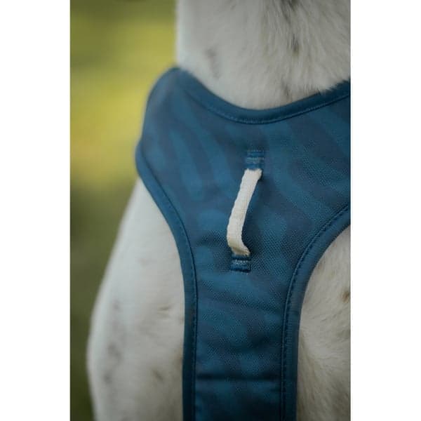 Roam Harness L Deep Teal Ripple, view: 4