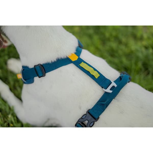 Roam Harness M Deep Teal Ripple, view: 5