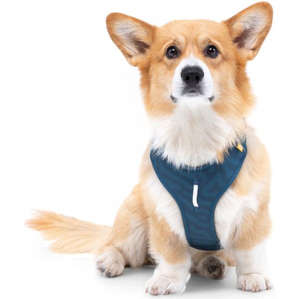 Roam Harness XL Deep Teal Ripple, view: 2