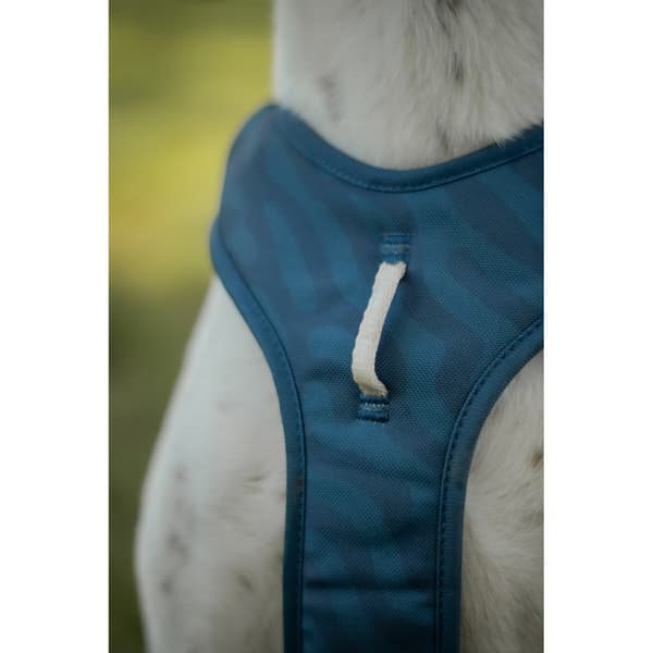 Roam Harness XS Deep Teal Ripple, view: 4