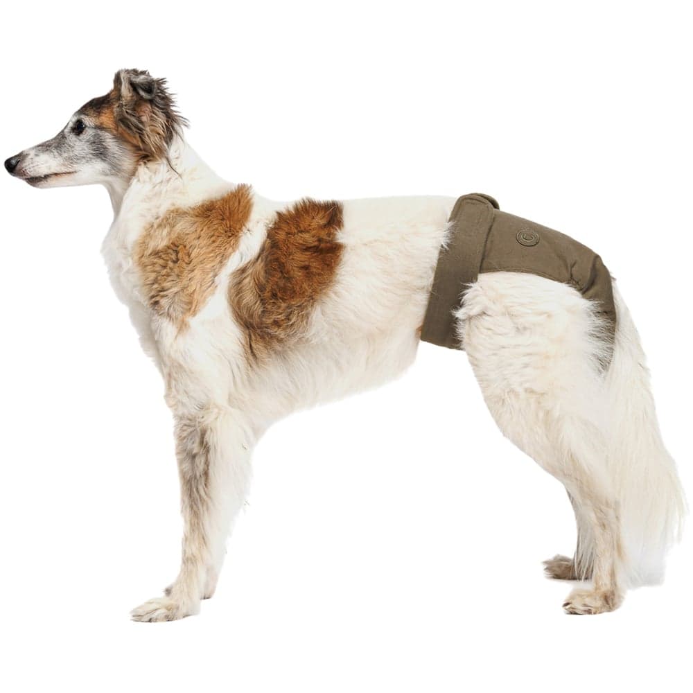 Dog Panties Size XXS-S Olive, view: 2