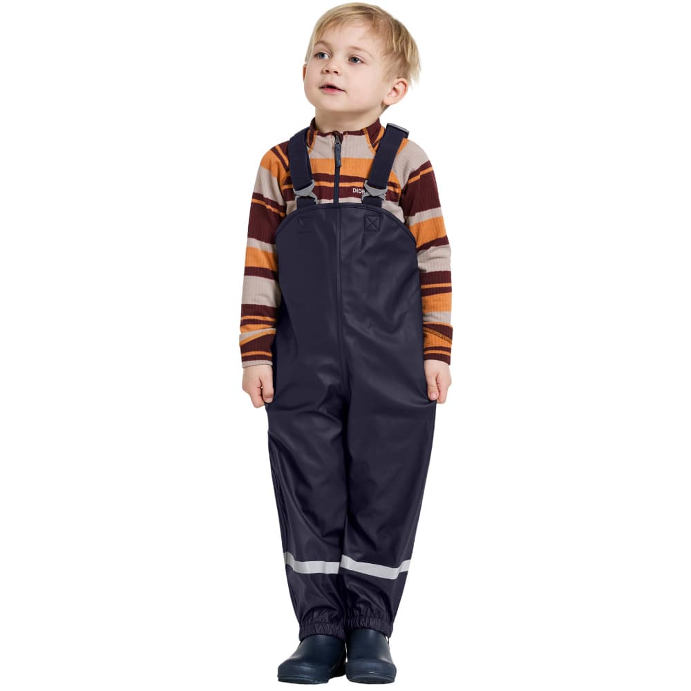 Plaskeman Pants 7 Navy, view: 2