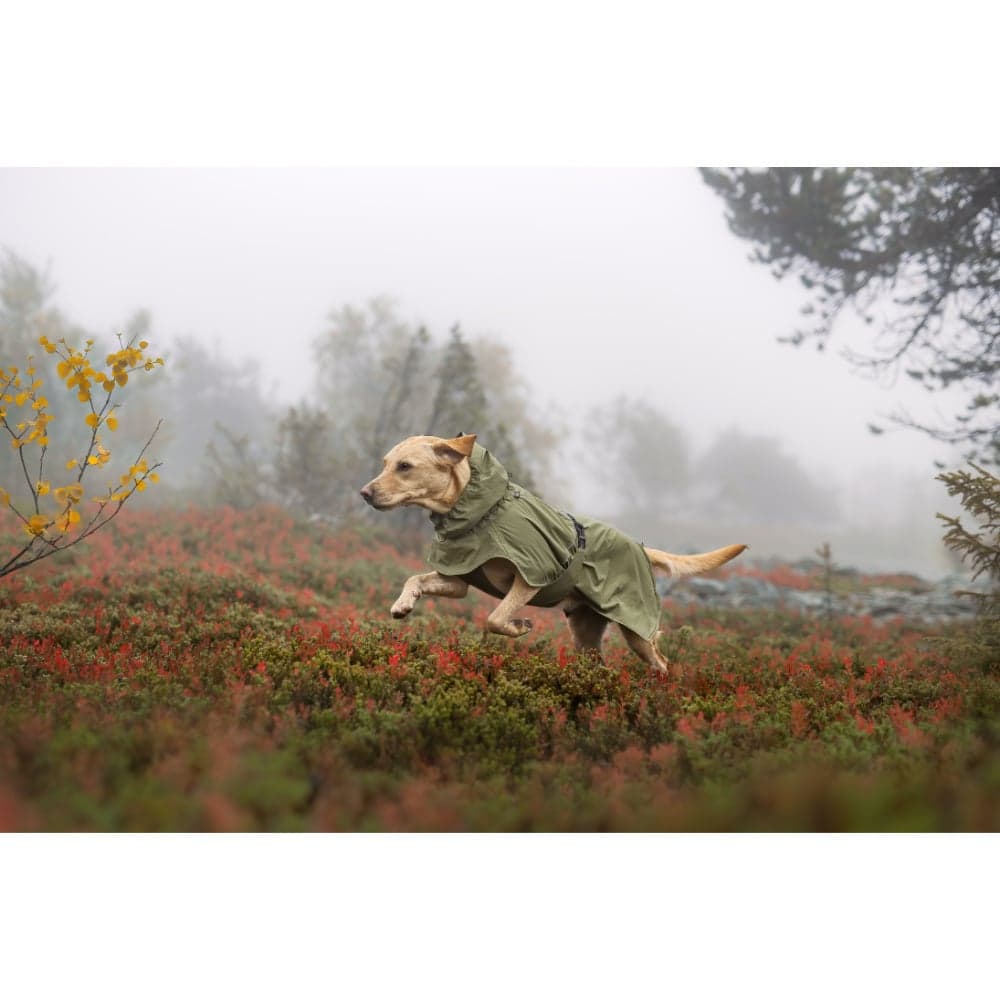 Ripple Raincoat 60-65 cm Army Green, view: 6
