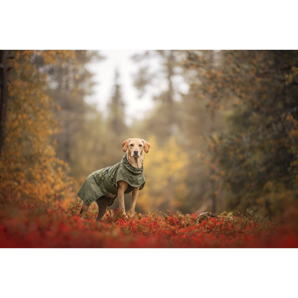 Ripple Raincoat 60-65 cm Army Green, view: 7