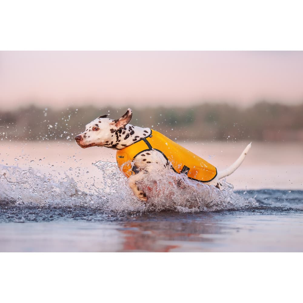 Swim Vest Sunset, view: 4