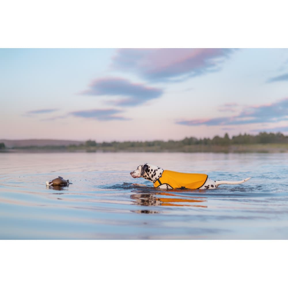 Walrus Floating Toy Brown, view: 2