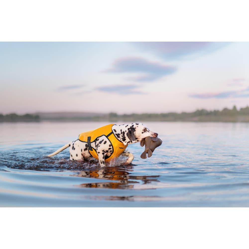 Walrus Floating Toy Brown, view: 1