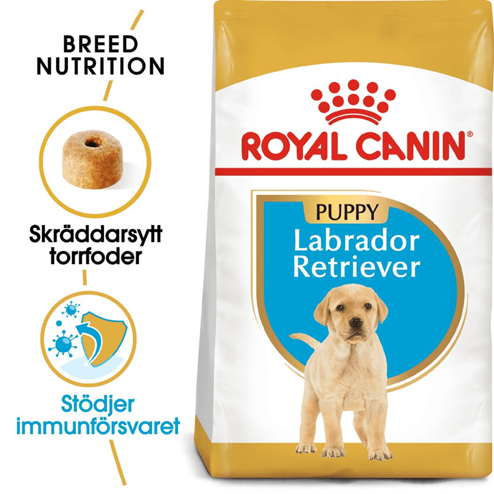 Labrador Retriever Puppy 12 Kg, view: 0