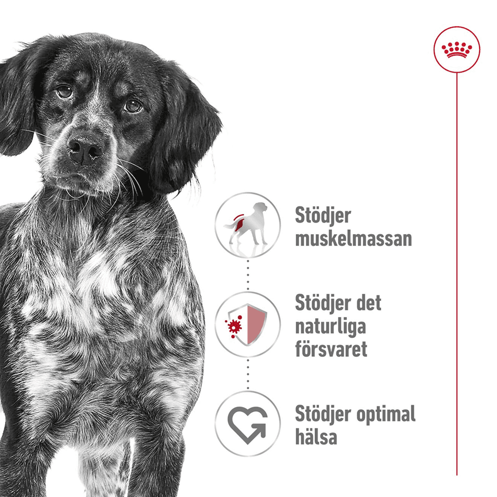 Medium Adult 15 Kg, view: 1