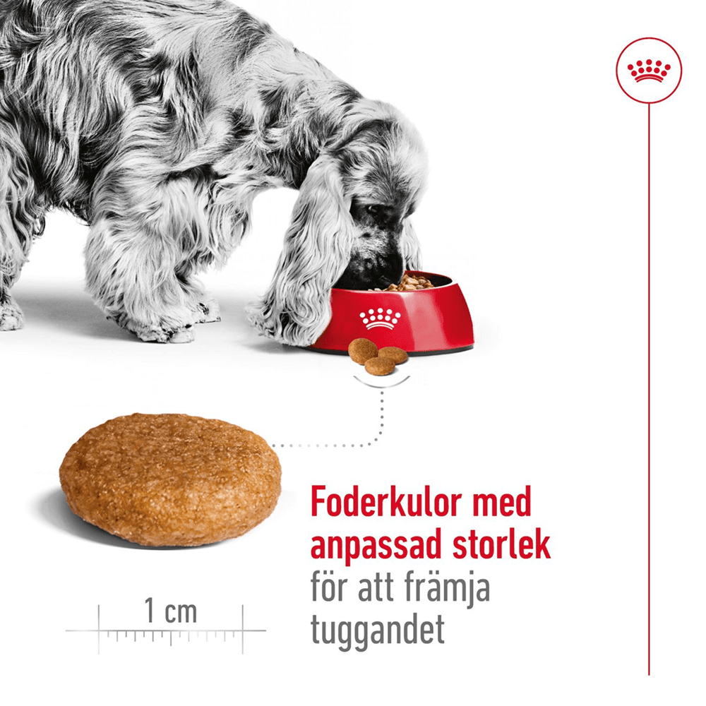 Medium Adult 15 Kg, view: 3