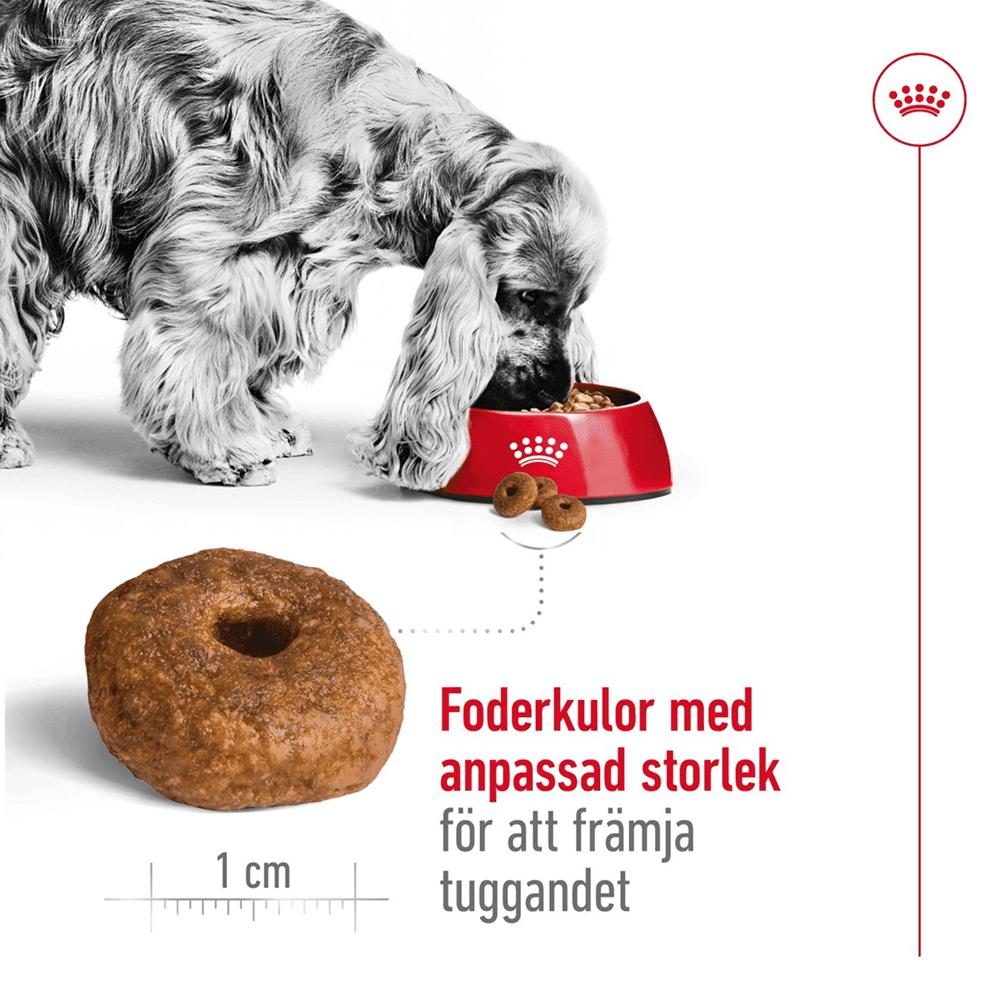 Medium Ageing 10+ 15 Kg, view: 3