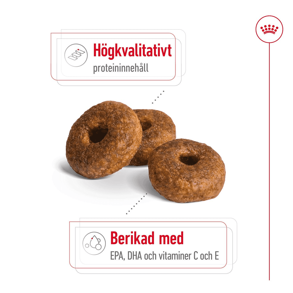 Medium Ageing 10+ 15 Kg, view: 2