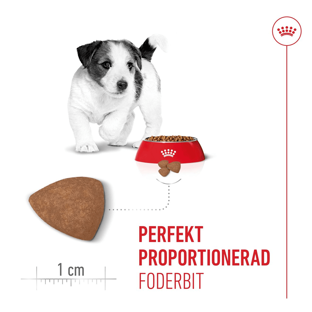 Mini Puppy 4 Kg, view: 3