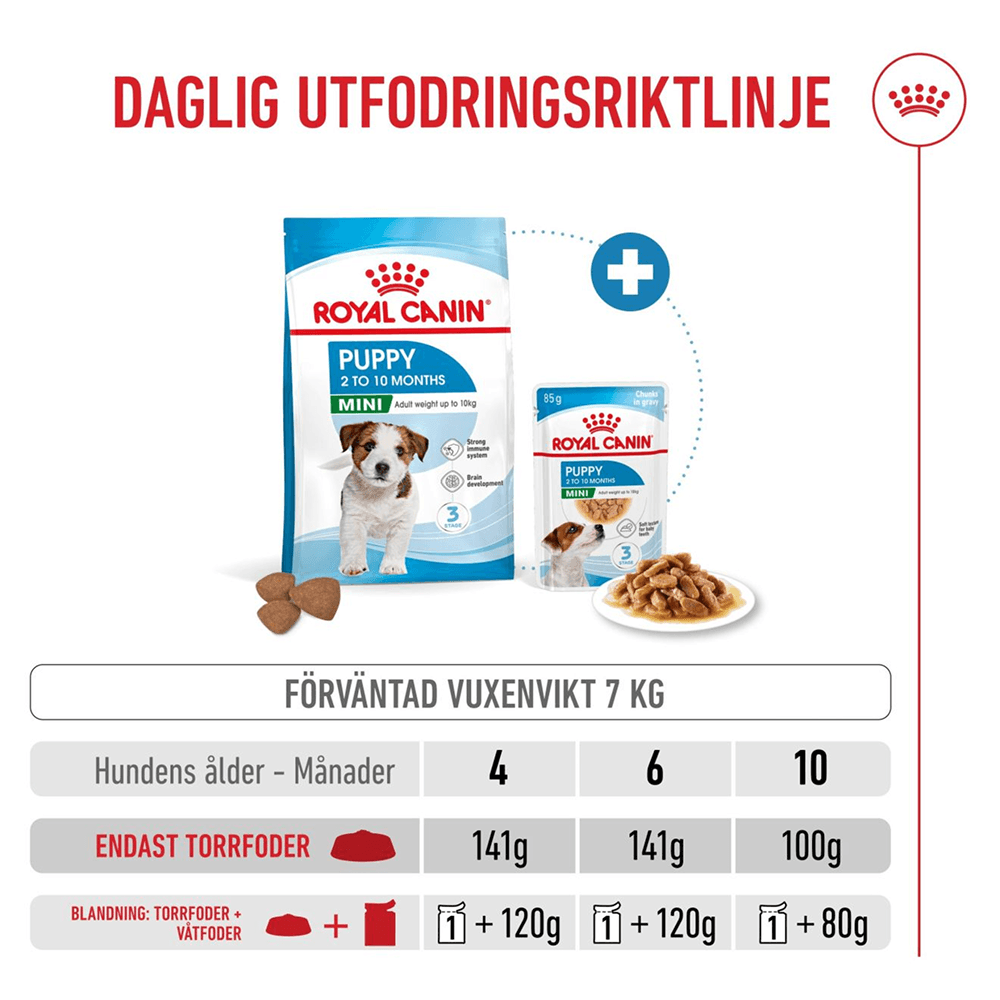 Mini Puppy 4 Kg, view: 4
