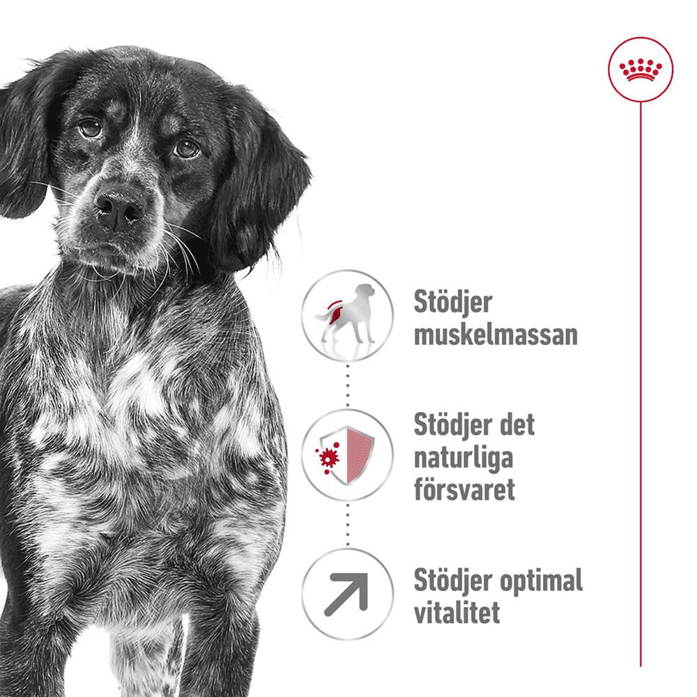 Medium Adult 7+ 15 Kg, view: 1