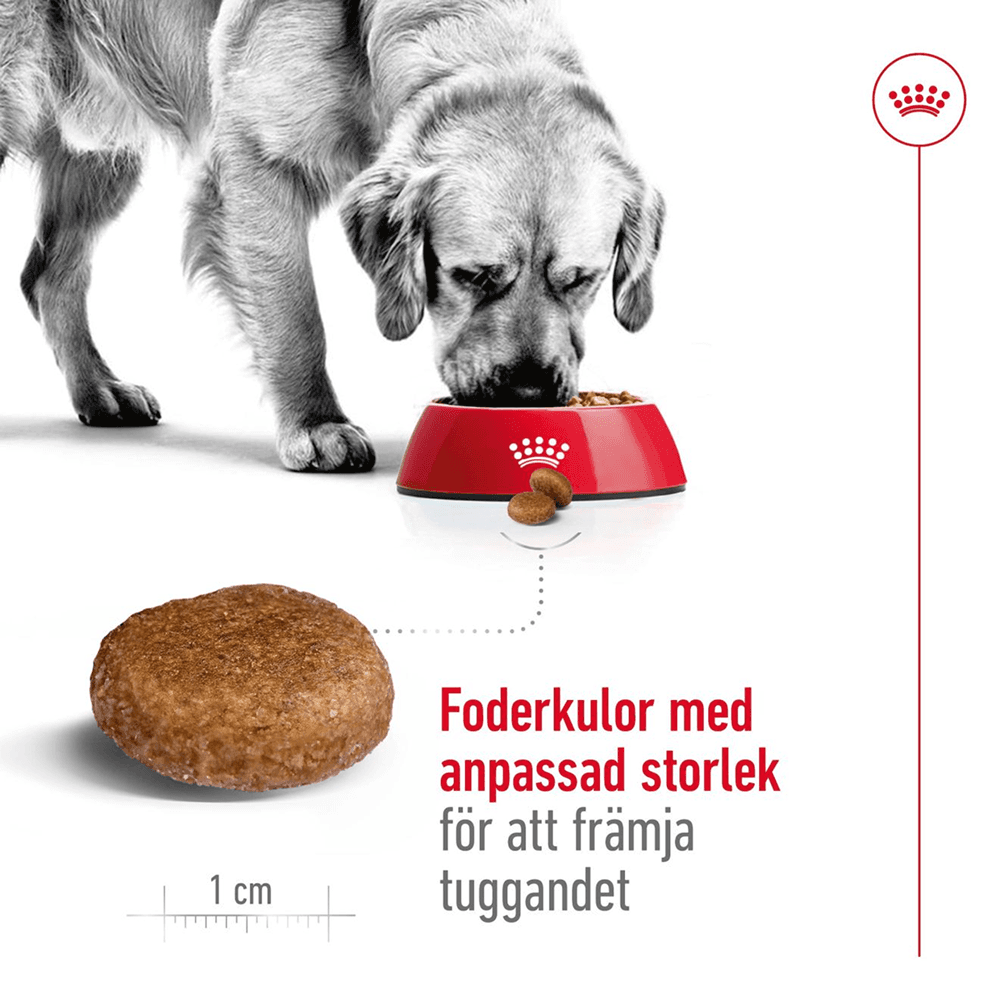 Maxi Adult 5+ 15 Kg, view: 3