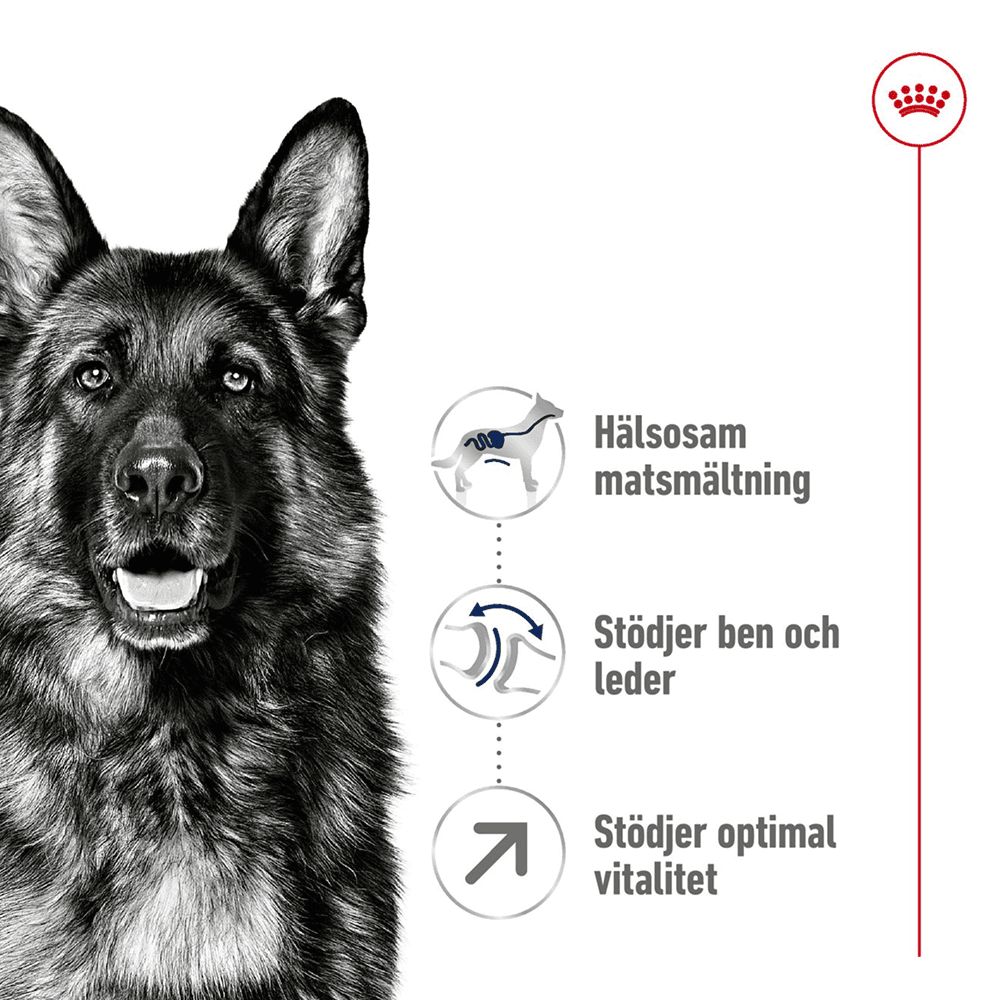 Maxi Adult 5+ 15 Kg, view: 1