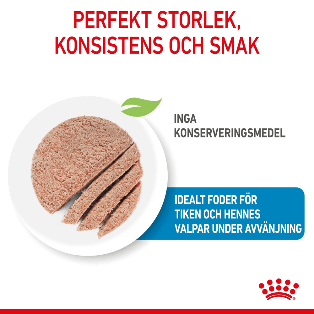 Mother & Babydog Starter Mousse 195 G, view: 3