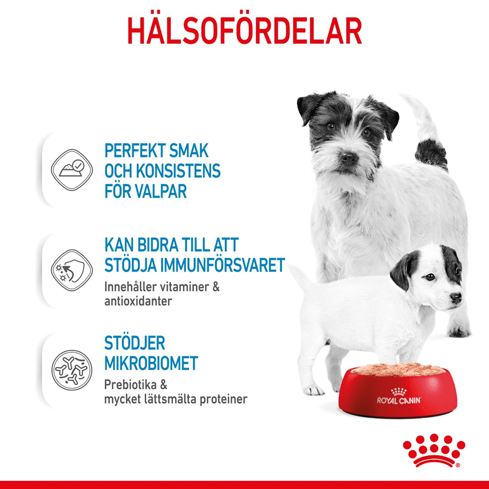 Mother & Babydog Starter Mousse 195 G, view: 2