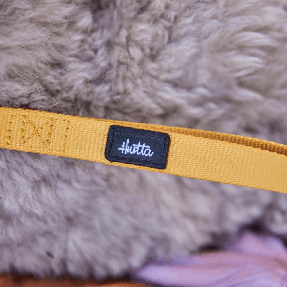 Seeker Standard Leash Honey, view: 3