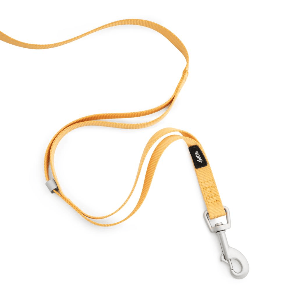 Seeker Standard Leash Honey, view: 1