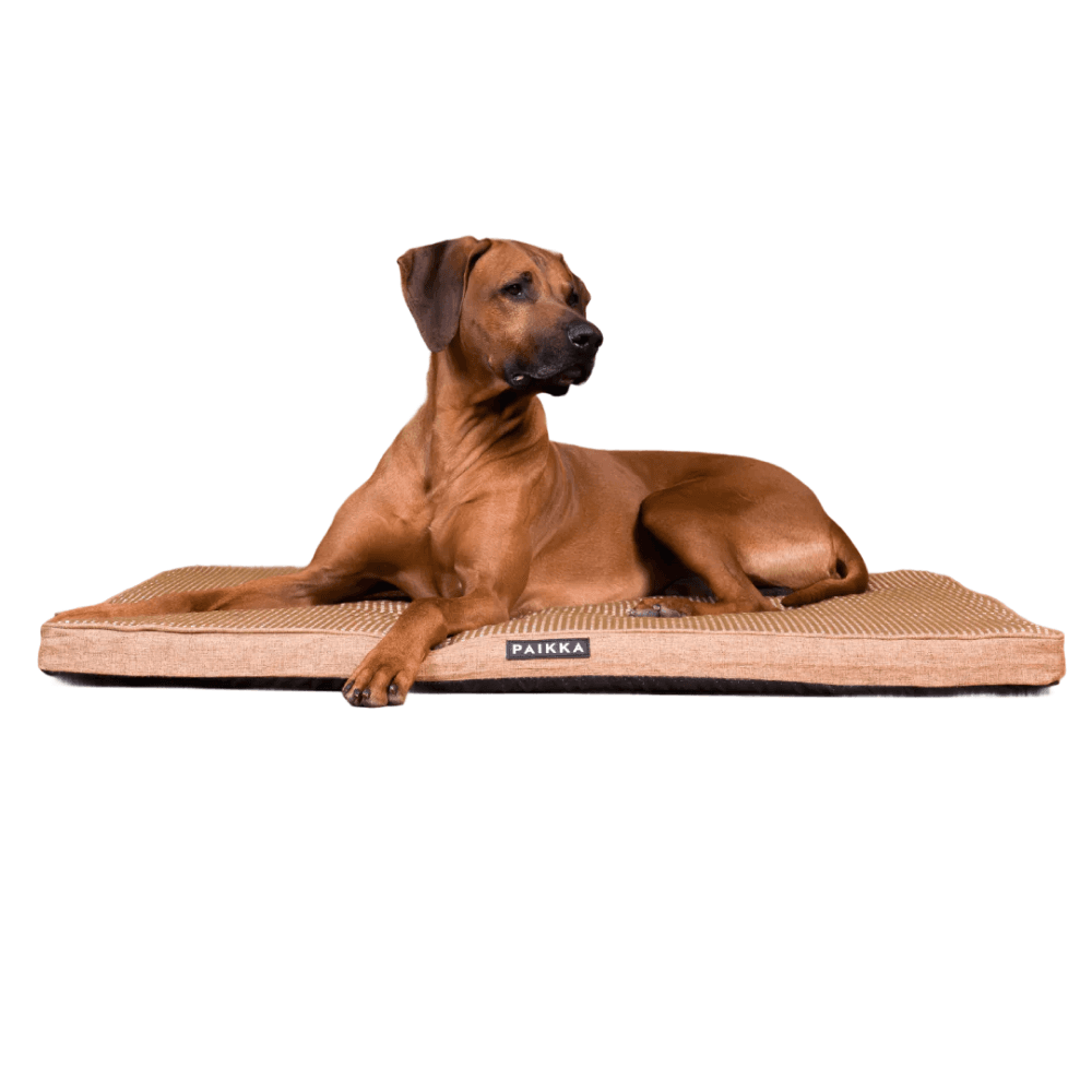 Cooling Orthopedic Mattress 80Cm Taupe, view: 1