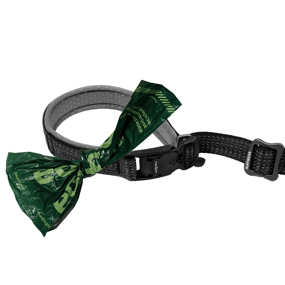 Ridgeline™ Leash Obsidian Black, view: 3