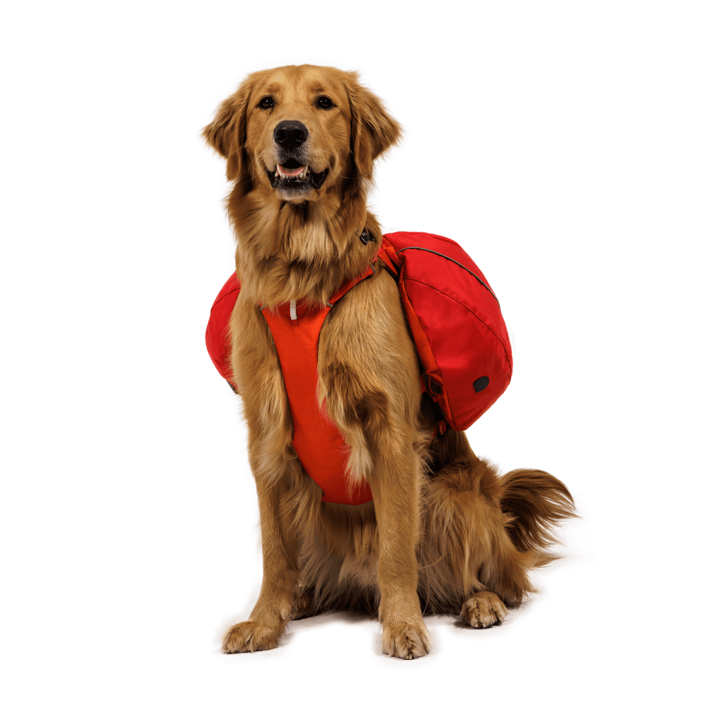 Palisades™ Pack Red Currant, view: 4