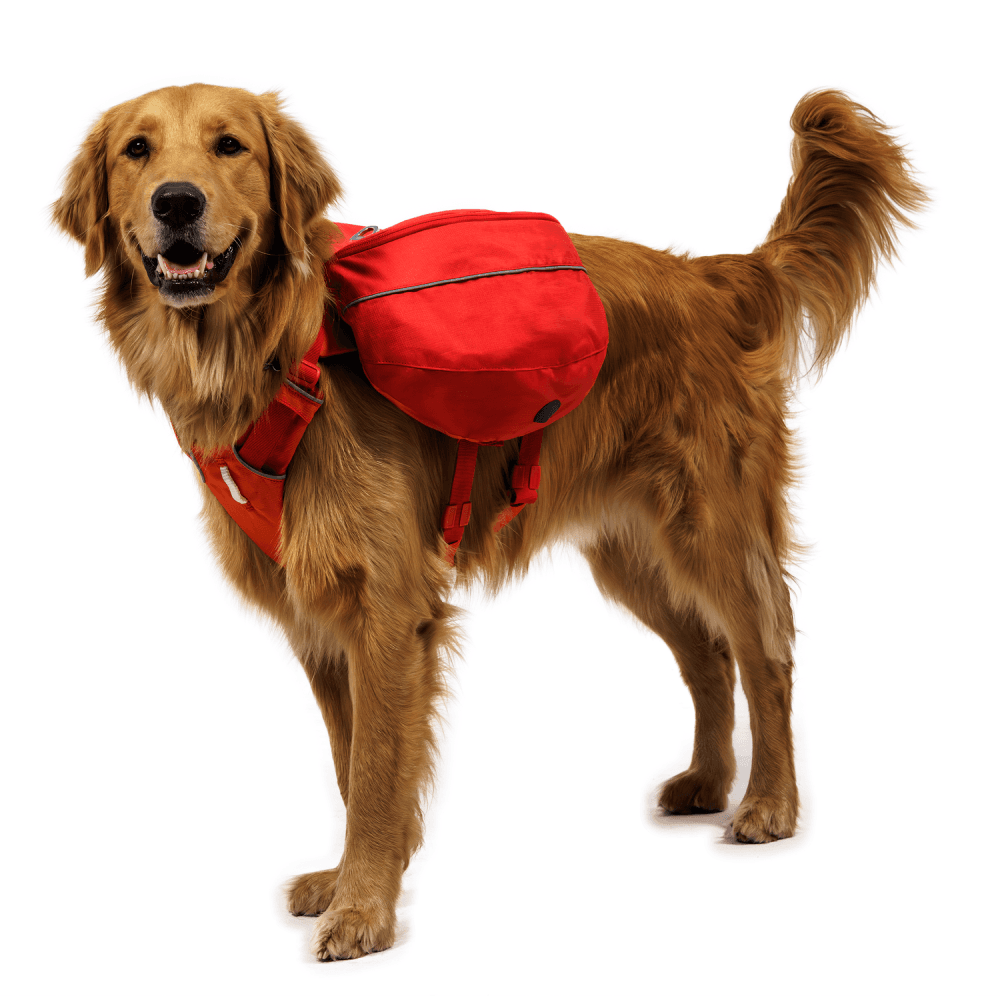 Palisades™ Pack Glacier Lake, view: 5