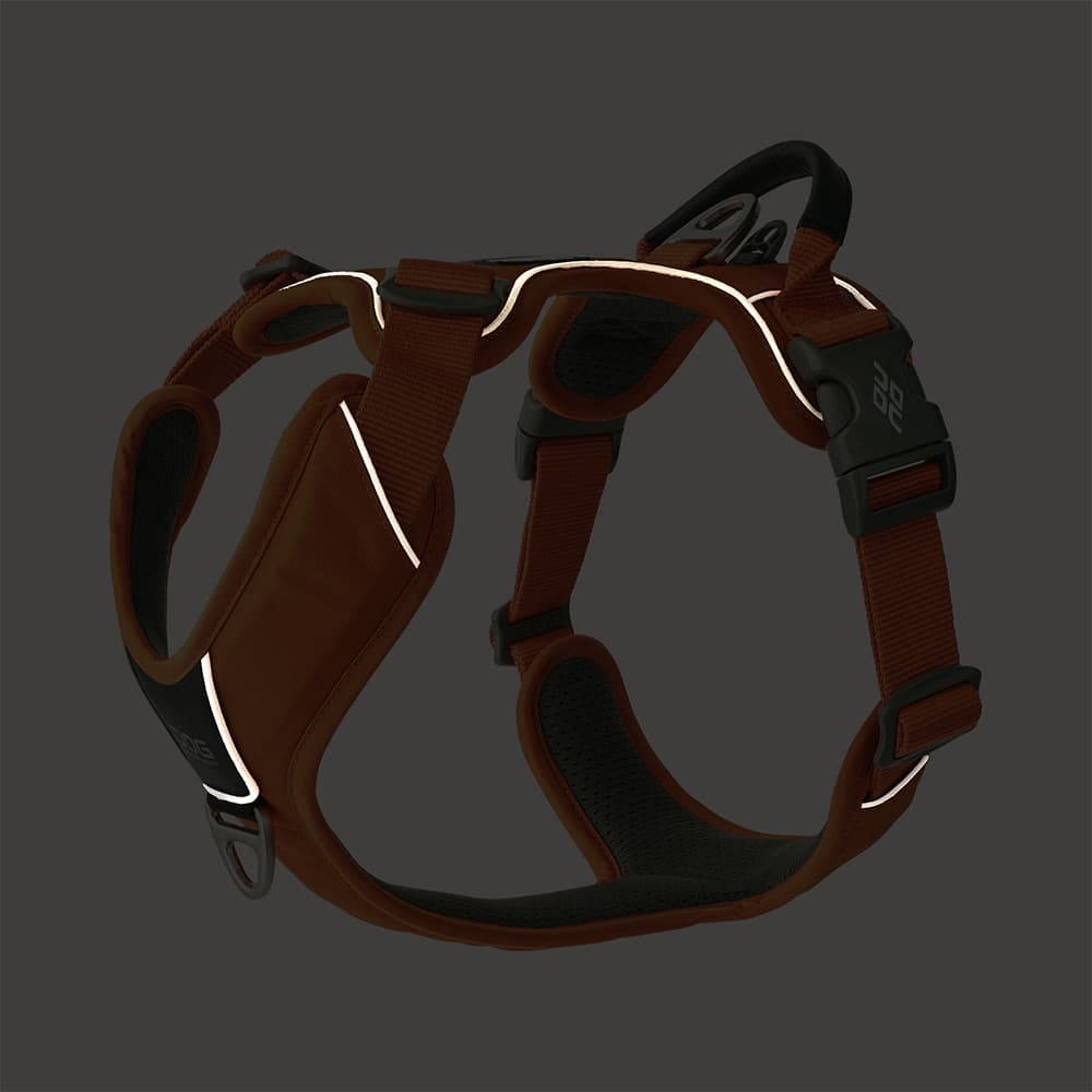 Comfort Walk Pro Harness L Desert Dune, view: 4