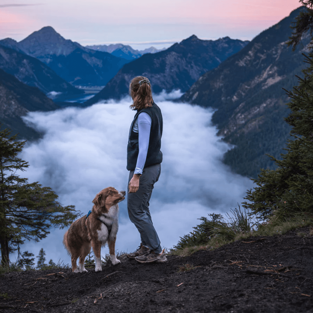 W's Trail Quest Pants Gray, view: 2