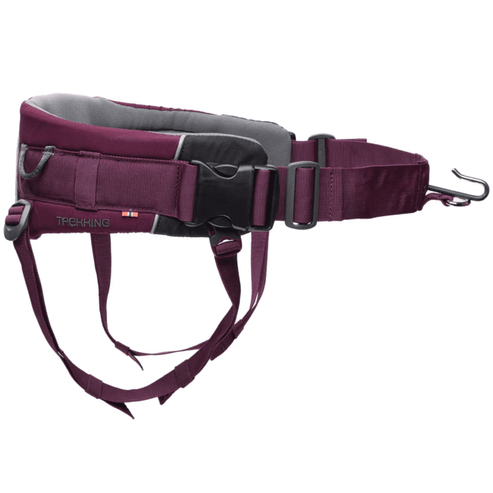 Trekking Belt 2.0 Purple, view: 0