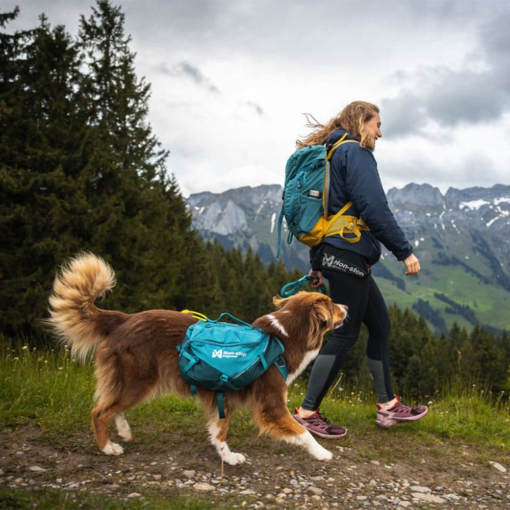 Trail Quest Dog Backpack Dark Teal, view: 1
