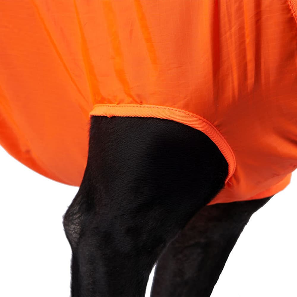Dog Rescue Sling Orange, view: 2