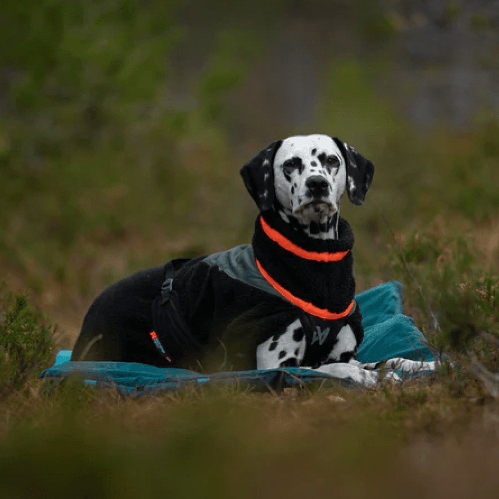 Trekking Fleece Dog Jacket 40-60 Black/Orange, view: 1
