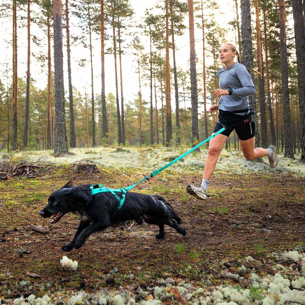 Bungee Leash 2.0M/23Mm Ice Blue, view: 2