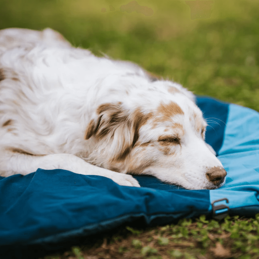 Trekking Dog Bed S Dark Teal, view: 3