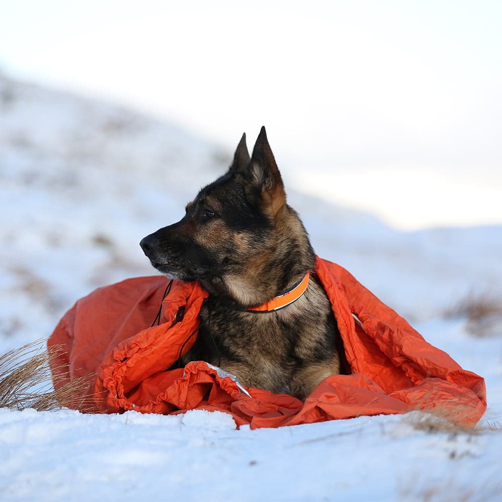 Protector Bivvy Bag M Orange, view: 3