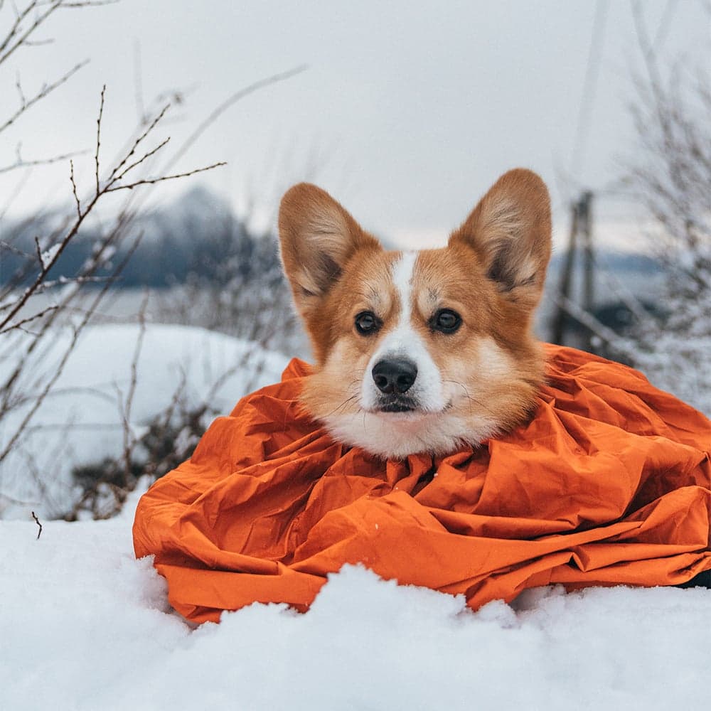 Protector Bivvy Bag M Orange, view: 2
