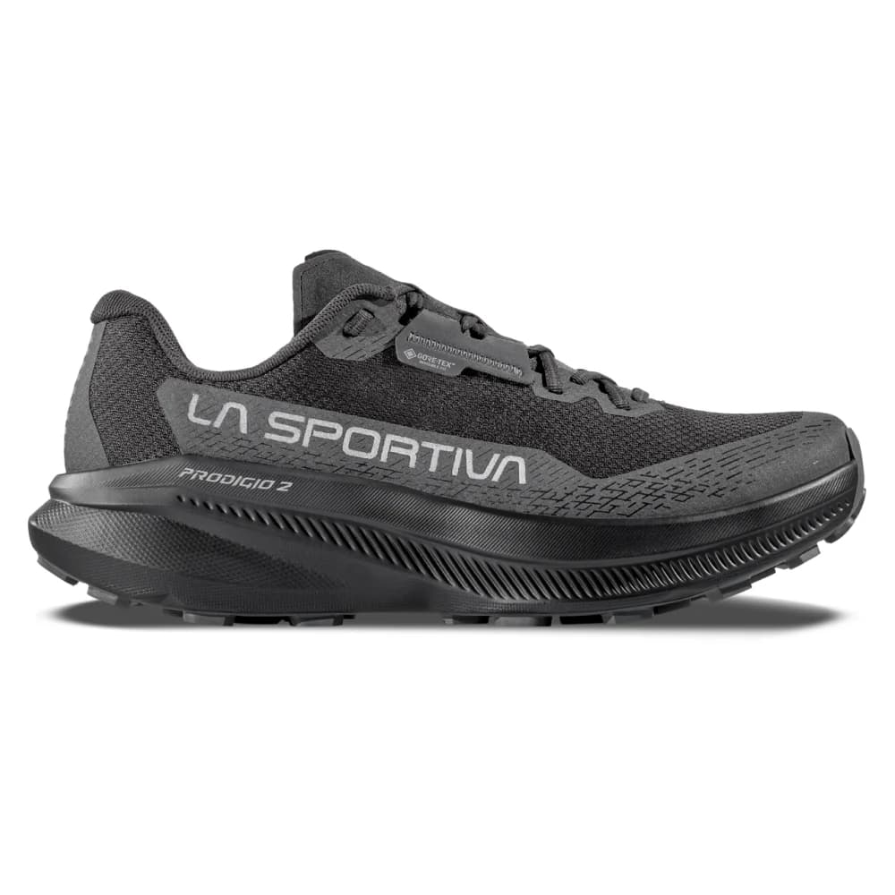 Prodigio 2 GTX Black/Reflective, view: 1