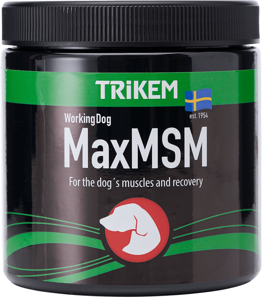 productImage: Working Dog Max MSM+