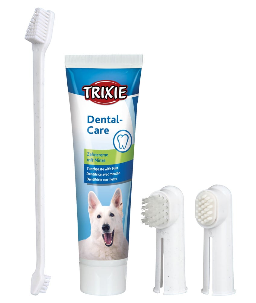 productImage: Dental Hygiene Set -hammashoitosetti