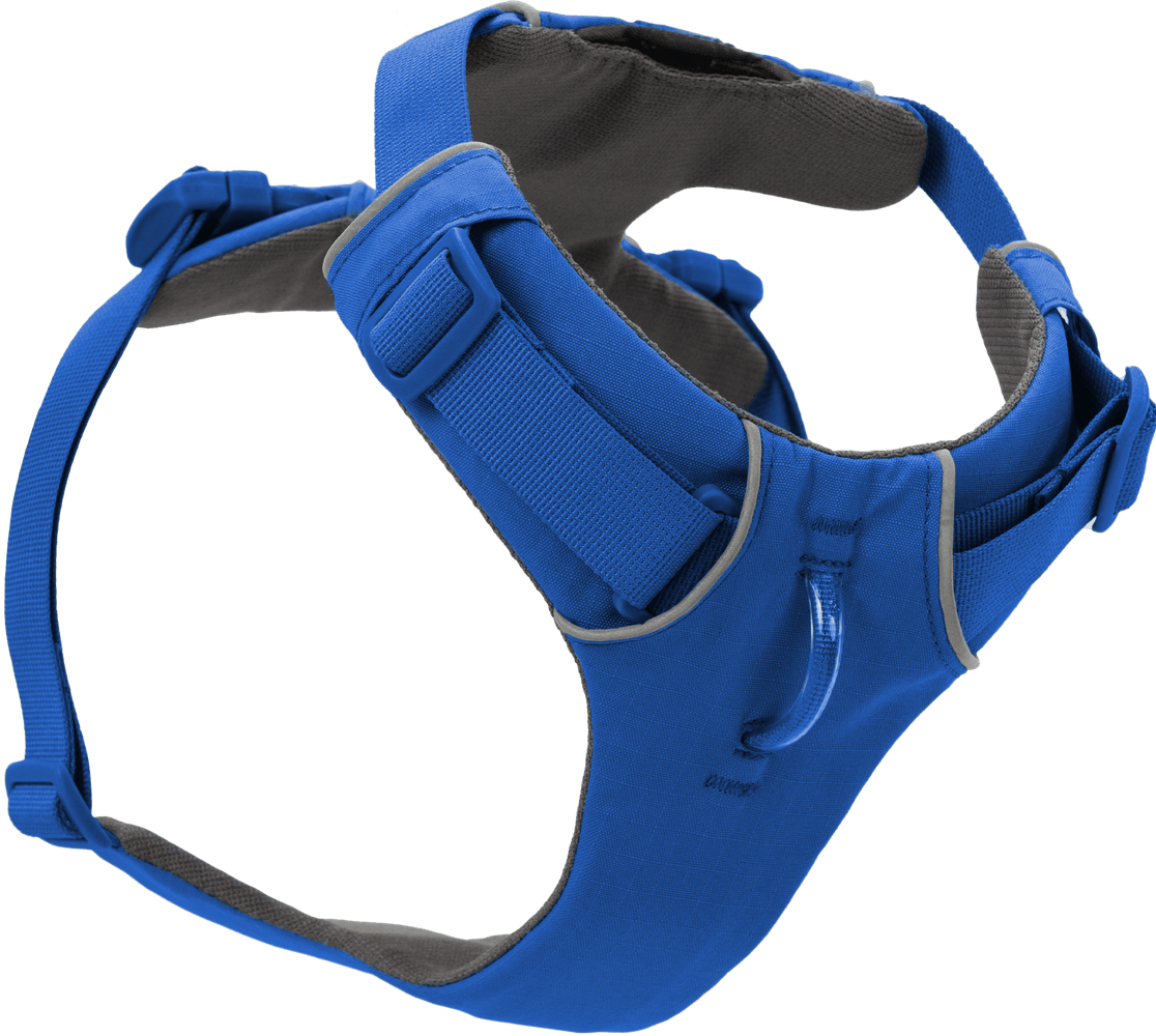 productImage: Front Range Harness valjaat, sininen