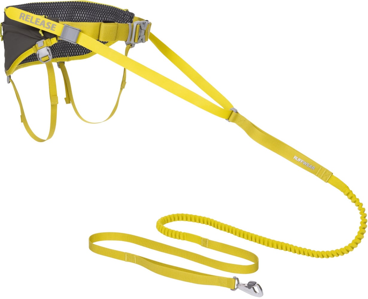 productImage: Omnijore Joring System juoksupaketti, Lichen Green