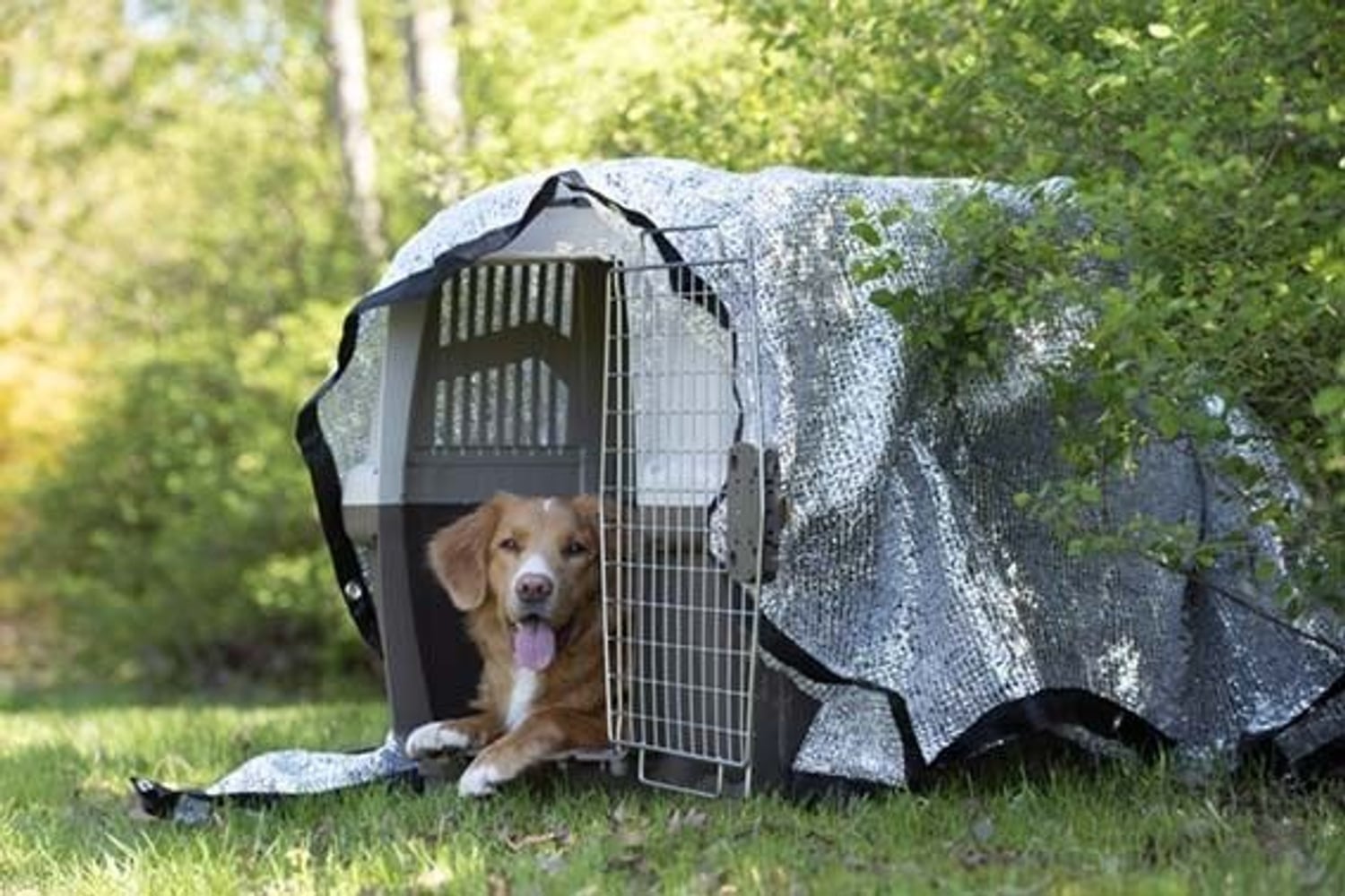 productImage: PetNation Hopeapeitto 210 x 180 cm