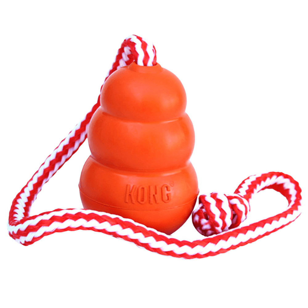 productImage: Aqua L 10X7Cm Orange