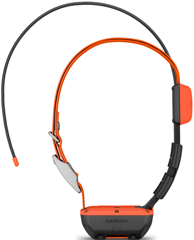 productImage: Alpha T20 koirapanta